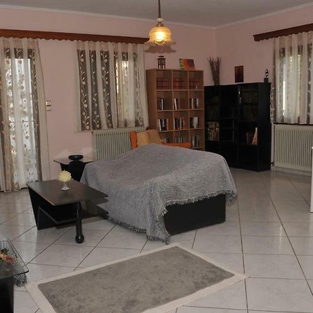 Eagle'S Family Apartment Kalampaka Dış mekan fotoğraf